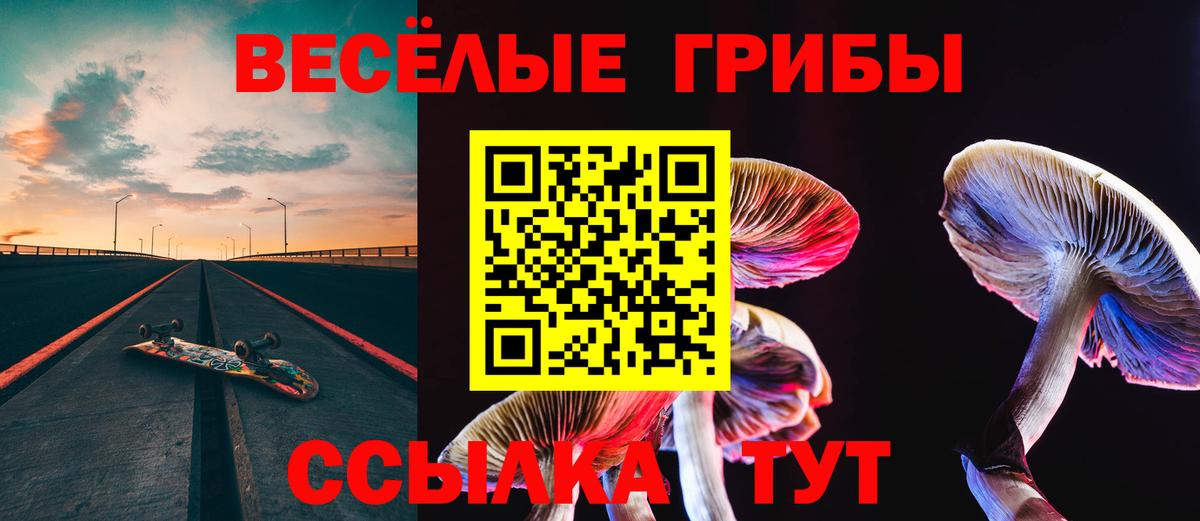 Галлюциногенные грибы Cubensis  Вход с VPN  Якутск 